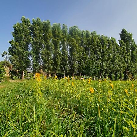 Apartamento Fattoria Il Giardo Pietrasanta Exterior foto