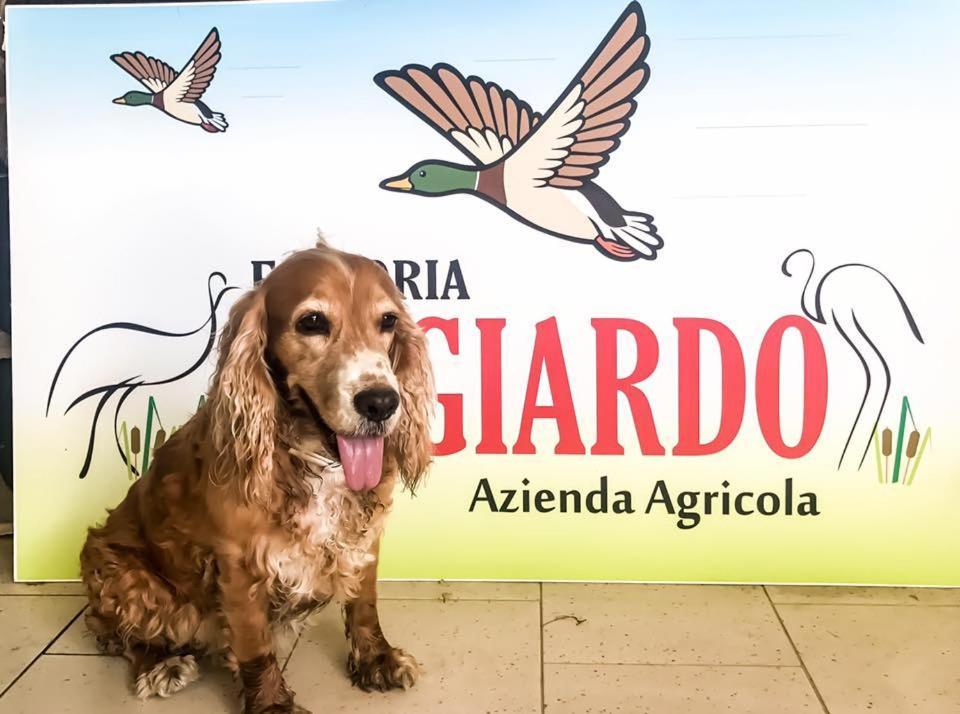 Apartamento Fattoria Il Giardo Pietrasanta Exterior foto
