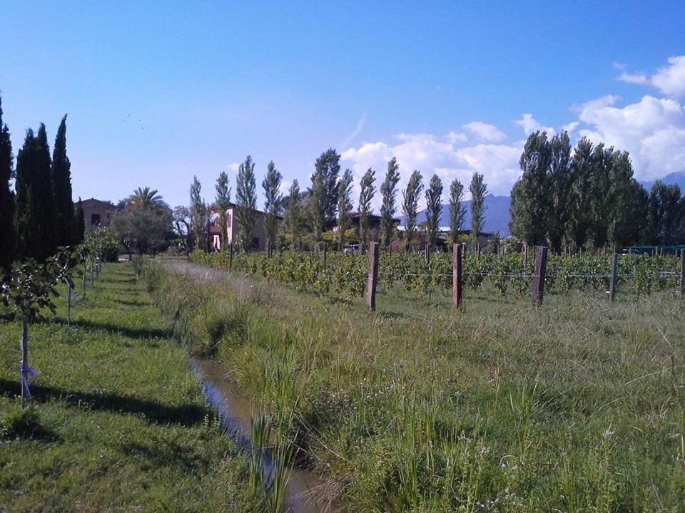Apartamento Fattoria Il Giardo Pietrasanta Exterior foto