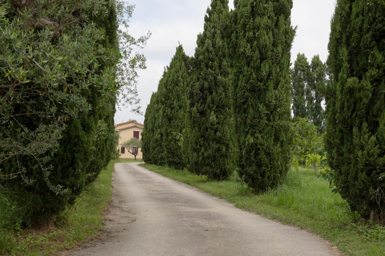 Apartamento Fattoria Il Giardo Pietrasanta Exterior foto