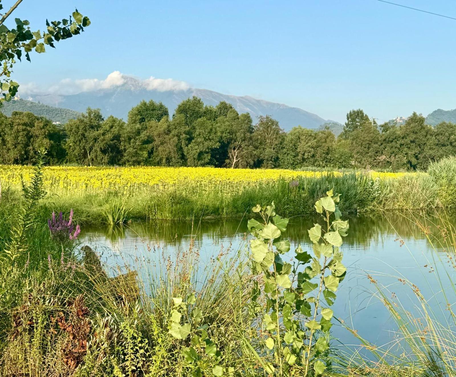 Apartamento Fattoria Il Giardo Pietrasanta Exterior foto