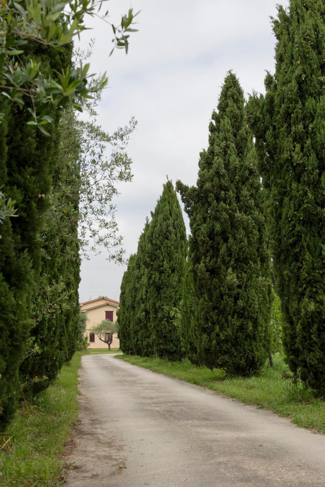 Apartamento Fattoria Il Giardo Pietrasanta Exterior foto